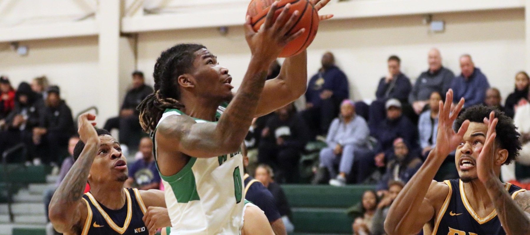 File photo of Hamahrie Bowers who led the Wildcats with 18 points at Dominican. Copyright 2024; Wilmington University. All rights reserved. Photo by Dan Lauletta. December 11, 2024 vs. #11/14 Pace