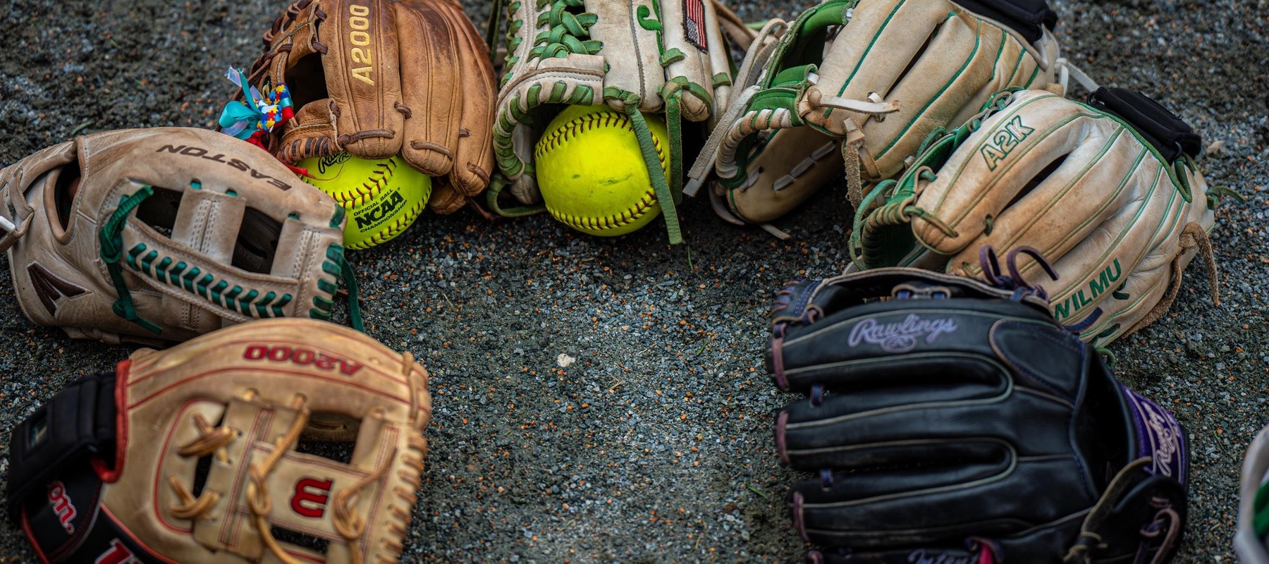 Copyright 2025; Wilmington University. All rights reserved. Photo by Giovanni Badalamenti. April 5, 2025 vs. Caldwell on Senior Day.