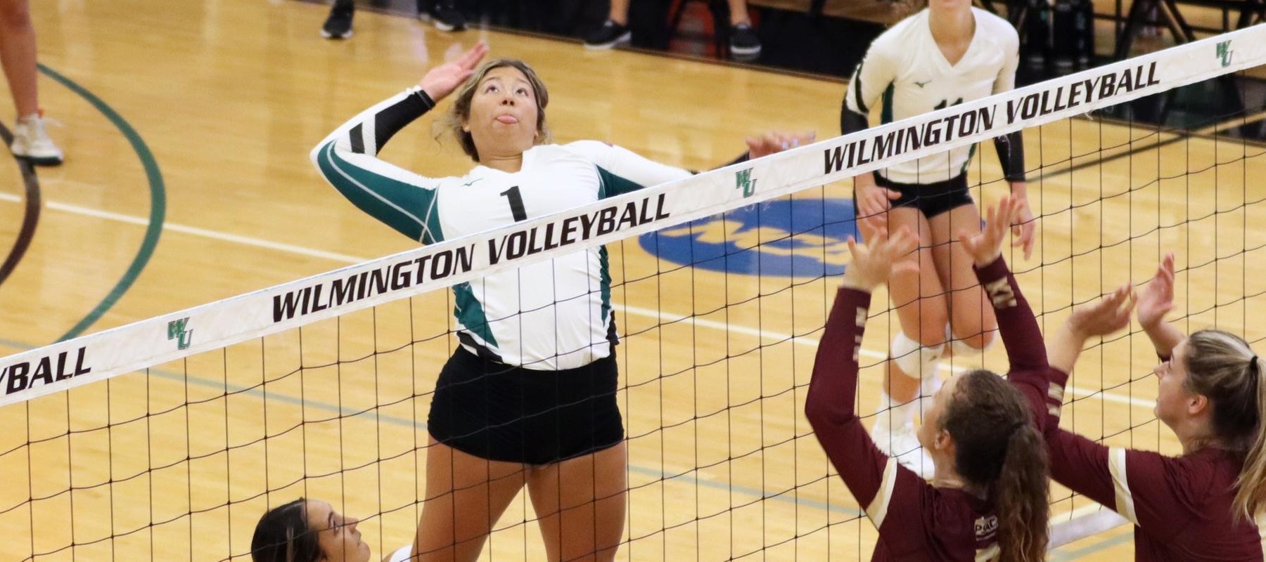 File photo of Alex Serna who hit .353 with 8 kills at Georgian Court. Copyright 2023; Wilmington University. All rights reserved. Photo by Dan Lauletta. September 8, 2023 vs. Kutztown.