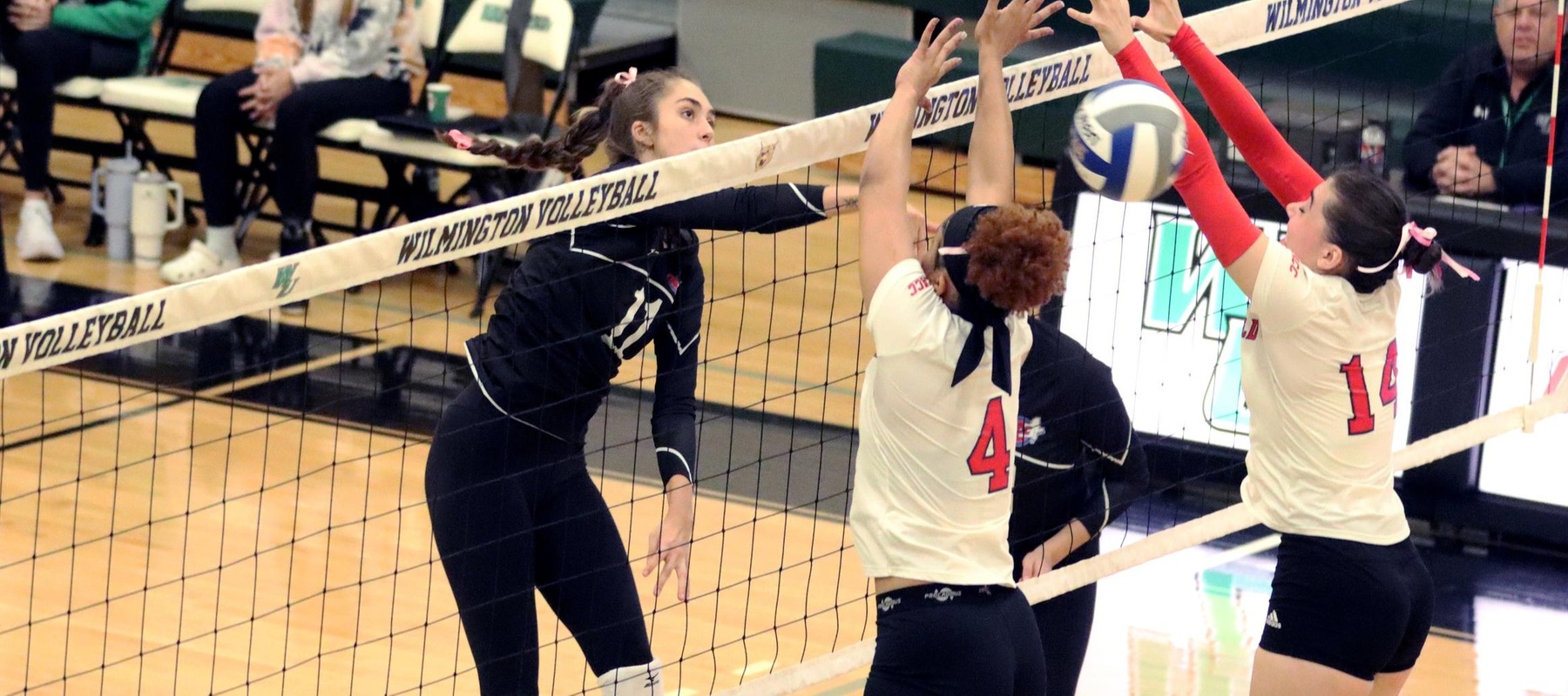 Photo of Ally Jonika who had a career high 8 kills against Bloomfield. Copyright 2024; Wilmington University. All rights reserved. Photo by Dan Lauletta. October 10, 2024 vs. Bloomfield.