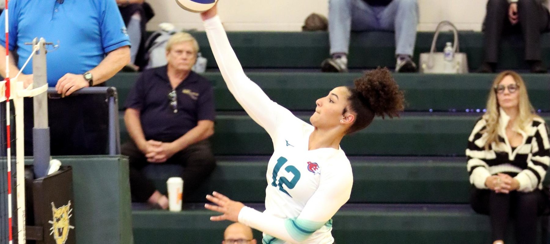 File photo of ELiza Schneider who led the Wildcats with 14 kills against Georgian Court. Copyright 2024; Wilmington University. All rights reserved. Photo by Dan Lauletta. September 13, 2024 vs. SNHU.