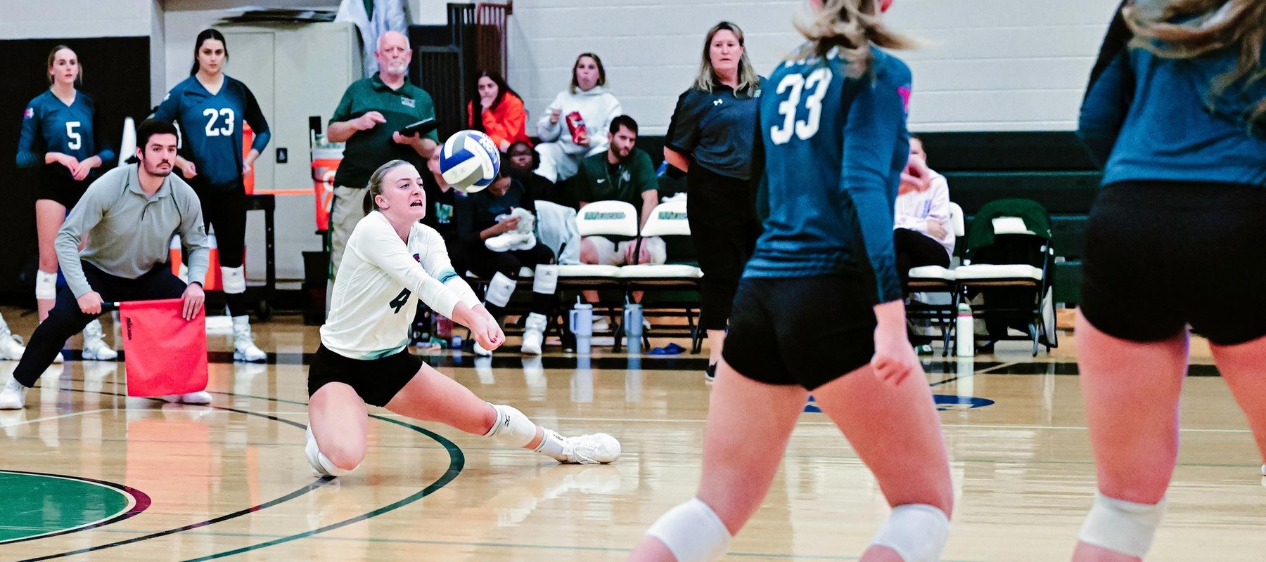 Wilmington University&rsquo;s Gabby Barth (4) goes to the floor to dig the ball against Chestnut Hill College during their NCAA Woman's volleyball match at the Wilmington University Sports complex in Newark, Delaware, October8, 2024 . Photo By David Reeder.