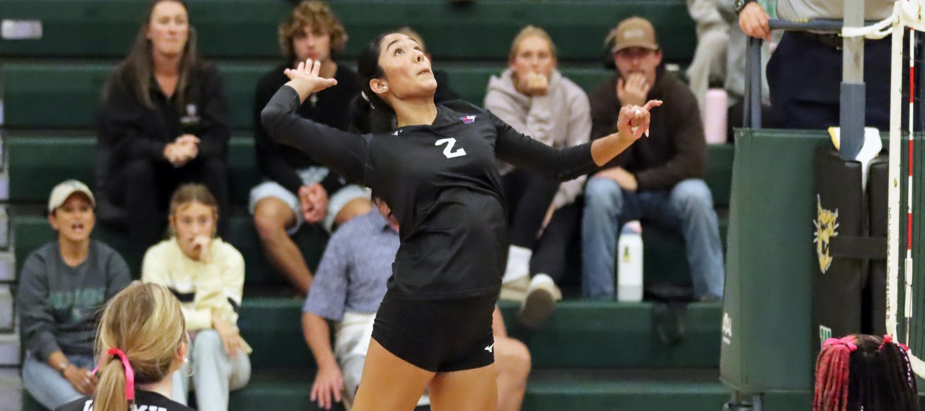File photo of Karla Nunez-Rivera who had 13 kills at Lock Haven. Copyright 2025; Wilmington University. All rights reserved. Photo by Dan Lauletta. October 15, 2025 vs. Goldey-Beacom.